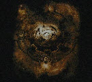 LSICEDE006_back