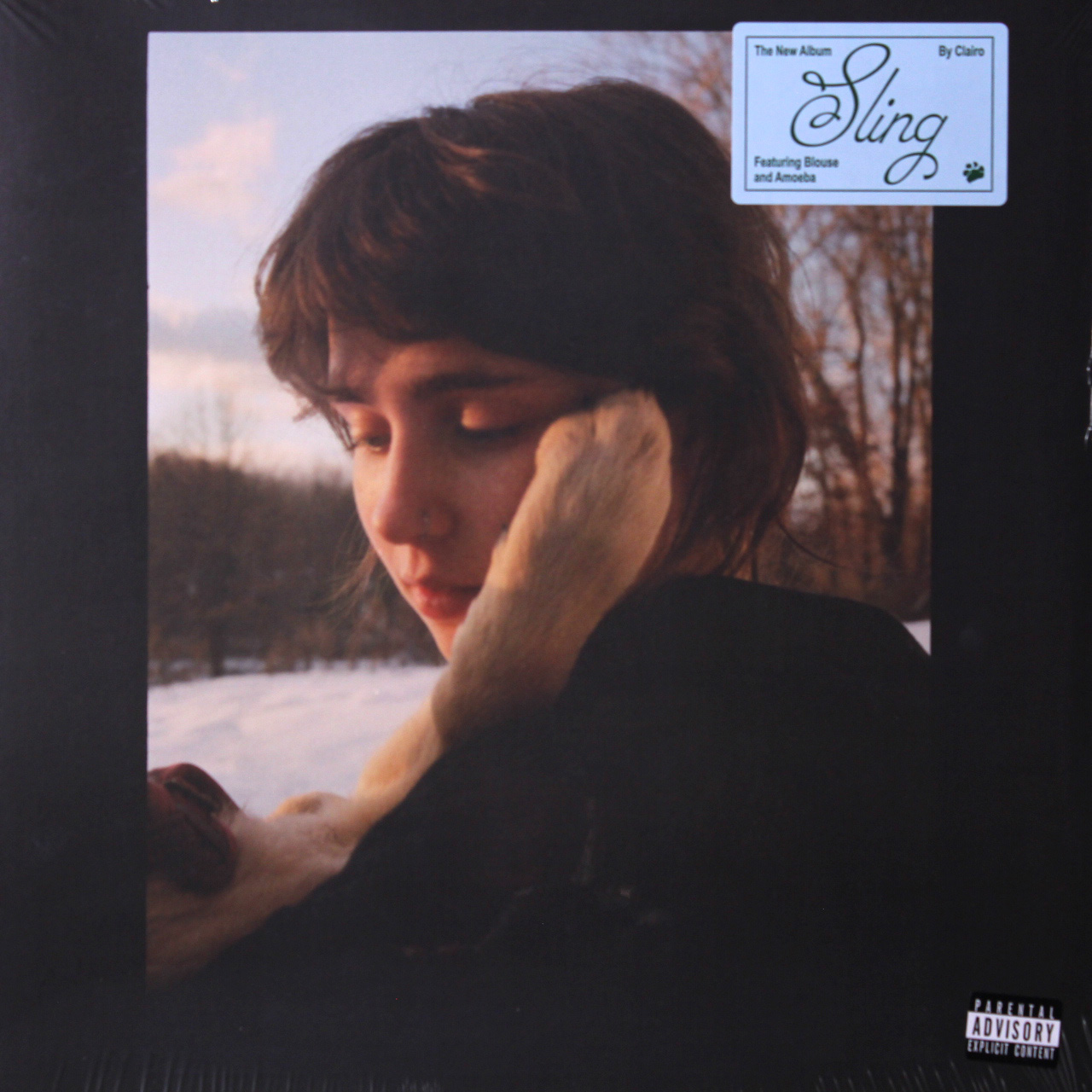 Clairo - Sling - Vinyl, LP, GTFLD - VNLCLAIRO003 - Wild Planet