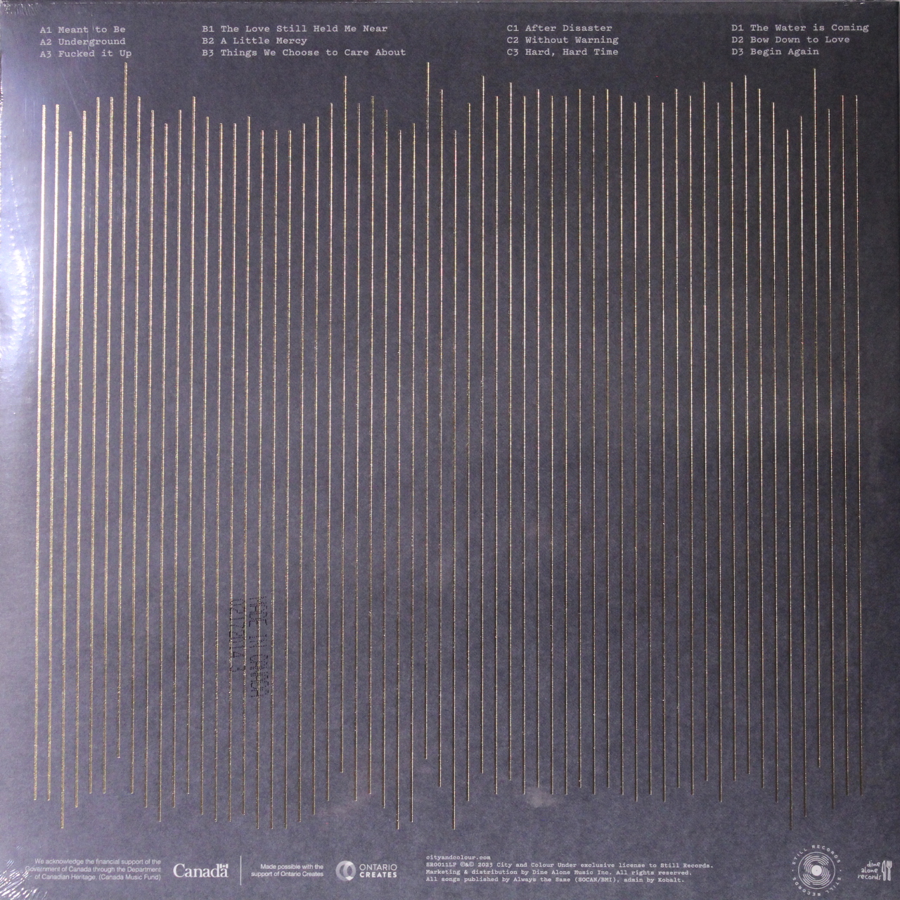 VNLCTYCLR006_back